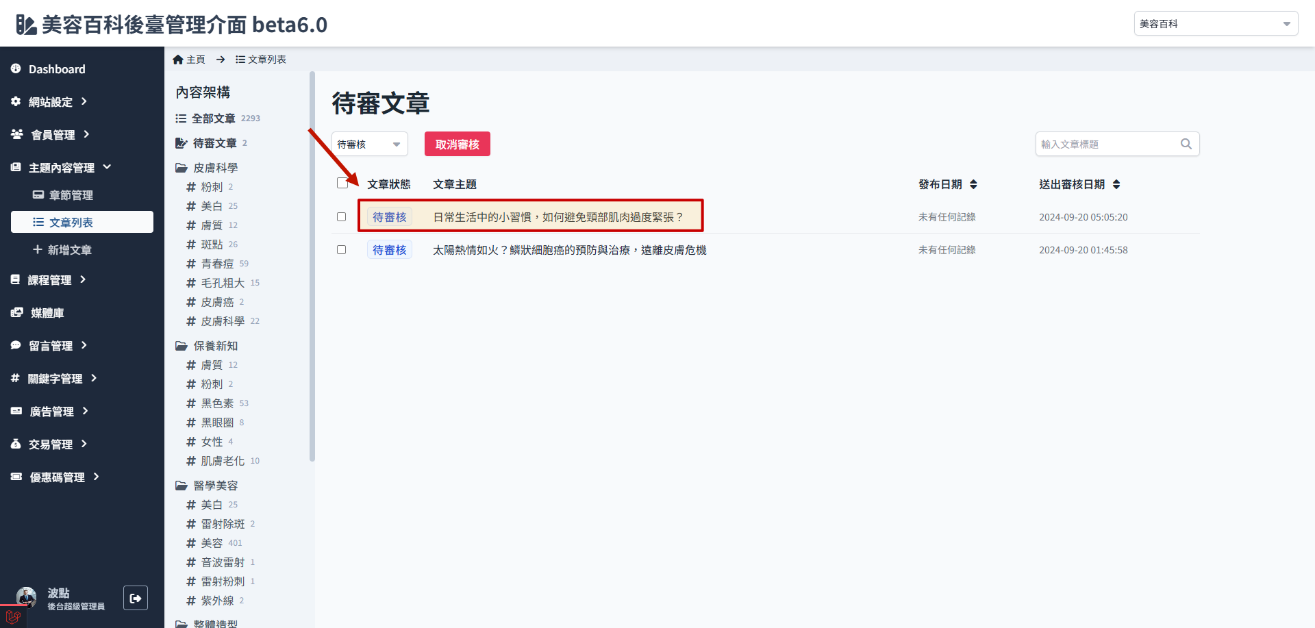 待审文章列表